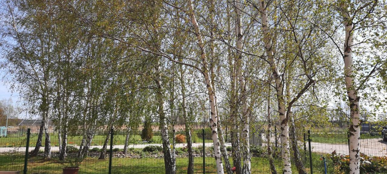 San Escobar Dziwnowek Villa Dış mekan fotoğraf